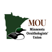 The Minnesota Ornithologists' Union Thumbnail