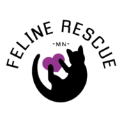 Feline Rescue Web Store Thumbnail