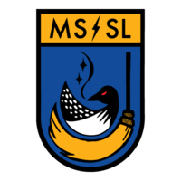 MS/SL Broomball Thumbnail