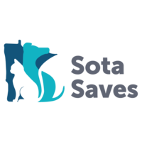 Sota Saves Thumbnail